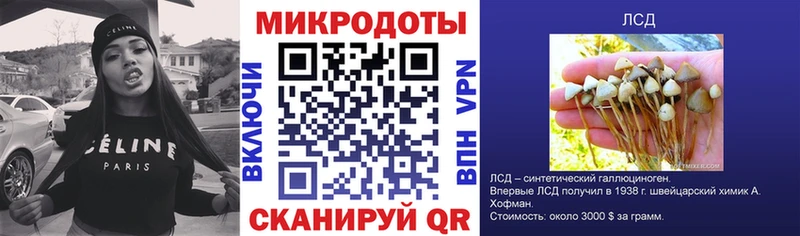 Галлюциногенные грибы MAGIC MUSHROOMS  Купить  Заинск 